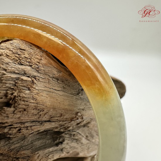 【肌容雪】天然緬甸A貨高冰黃翡翠正圈手鐲 編號567(鐲圍57.4mm#18號)