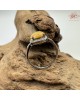 【肌容雪】天然緬甸A貨黃翡翠蛋面戒指 編號598(戒圍17.7mm#12號)