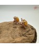 【肌容雪】天然緬甸A貨黃翡翠蛋面方形耳針 編號601