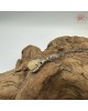 【肌容雪】天然緬甸A貨黃翡翠蛋面925項鏈 編號602