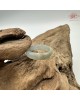 【肌容雪】天然緬甸A貨冰糖雪梨翡翠戒圈 編號631(戒圍17.2mm#10號)