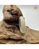 【肌容雪】天然緬甸A貨冰糖雪梨翡翠戒圈 編號633(戒圍18.7mm#15號)