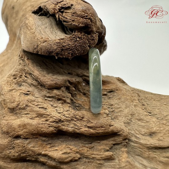 【肌容雪】天然緬甸A貨冰種青藍黃翡翠戒圈 編號636(戒圍15.1mm#7號)