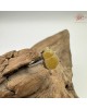 【肌容雪】天然緬甸A貨翡翠雞油葫蘆戒指 編號649(戒圍17.0mm#10號)