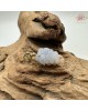 【肌容雪】天然緬甸A貨紫翡翠葡萄吊墜 編號656