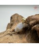 【肌容雪】天然緬甸A貨紫翡翠葡萄吊墜 編號656