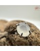 【肌容雪】天然緬甸A貨冰白翡翠耳環 編號693