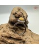【肌容雪】天然緬甸A貨黃翡翠可調節戒指 編號700(戒圍17.5mm#12號)
