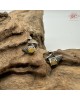 【肌容雪】天然緬甸A貨黃翡天鵝造型耳針  編號702