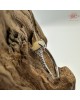 【肌容雪】天然緬甸A貨黃翡翠蛋面造型可調節戒指 編號705(戒圍18.1mm#14號)