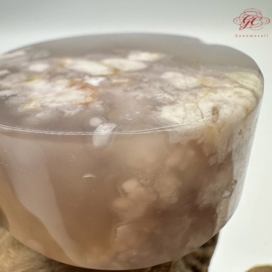 【肌容雪】天然美石櫻花瑪瑙圓牌擺件 編號B20