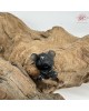 【肌容雪】天然美石小熊玉隨項鍊繩 編號B24