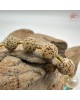 【肌容雪】天然美石星月菩提子單圈手串 編號B35