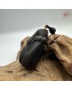 【肌容雪】天然沉香兔子造型吊墜 編號T03