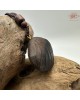 【肌容雪】天然沉香貝殼造型吊墜 編號T07