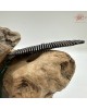 【肌容雪】天然沉香孔雀開屏造型梳子 編號T23