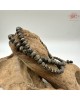 【肌容雪】天然沉香飾品禮盒(手串、珠鍊、古風祝福卷軸) 編號T28