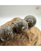【肌容雪】天然沉香飾品禮盒(手串、珠鍊、古風祝福卷軸) 編號T28