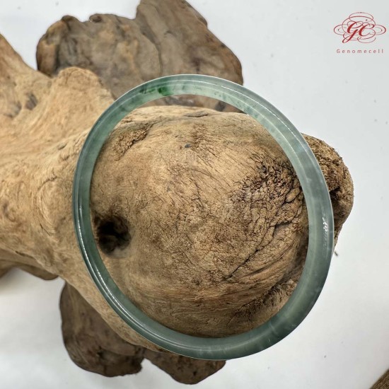 【肌容雪】天然緬甸A貨綠翡翠飄花叮噹鐲 編號1000(鐲圍60.9mm#19號)