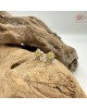  【肌容雪】天然緬甸A貨翡翠蜜蠟黃耳針 編號1016