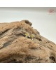  【肌容雪】天然緬甸A貨翡翠蜜蠟黃耳針 編號1016