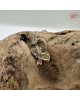 【肌容雪】天然緬甸A貨翡翠蜜蠟黃蜜蜂造型項鍊 編號1017