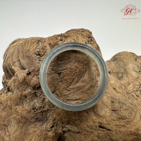 【肌容雪】天然緬甸A貨翡翠烏雞戒圈 編號1034(戒圍20.0mm#17號)