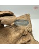 【肌容雪】天然緬甸A貨翡翠烏雞戒圈 編號1034(戒圍20.0mm#17號)