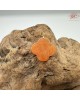 【肌容雪】天然緬甸A貨紅翡翠四葉草造型吊墜 編號1036