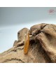 【肌容雪】天然緬甸A貨黃翡翠戒圈項鍊 編號1052(戒圍15.1mm#7號)