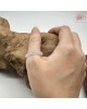 【肌容雪】天然緬甸A貨白月光翡翠戒圈 編號1053(戒圍18.6mm#15號)