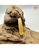  【肌容雪】天然緬甸A貨金蜜黃翡翠戒圈 編號1055(戒圍19.2mm#15號)
