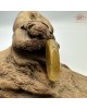  【肌容雪】天然緬甸A貨檸檬黃翡翠戒圈 編號1056(戒圍19.2mm#15號)