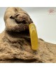 【肌容雪】天然緬甸A貨琥珀黃翡翠戒圈 編號1057(戒圍19.3mm#15號)