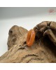 【肌容雪】天然緬甸A貨紅翡翠戒圈 編號1064(戒圍17.3mm#10號)