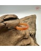 【肌容雪】天然緬甸A貨紅翡翠戒圈 編號1066(戒圍18.2mm#14號)