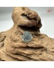 【肌容雪】天然緬甸A貨藍水翡翠彌勒佛吊墜 編號479