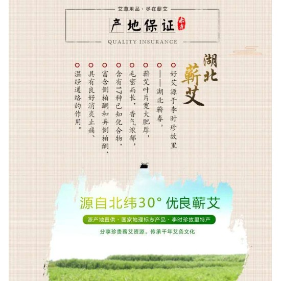 【肌容雪】艾絨貼 30粒/盒 【肌容雪】艾絨貼 30粒/盒