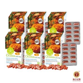 【特惠六入組合】 Ocumin 愛可明葉黃素膠囊 60顆 (KOSHER葉黃素+牛磺酸)